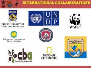 Collaboration_InterNational