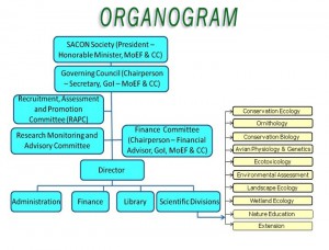OrganogramT